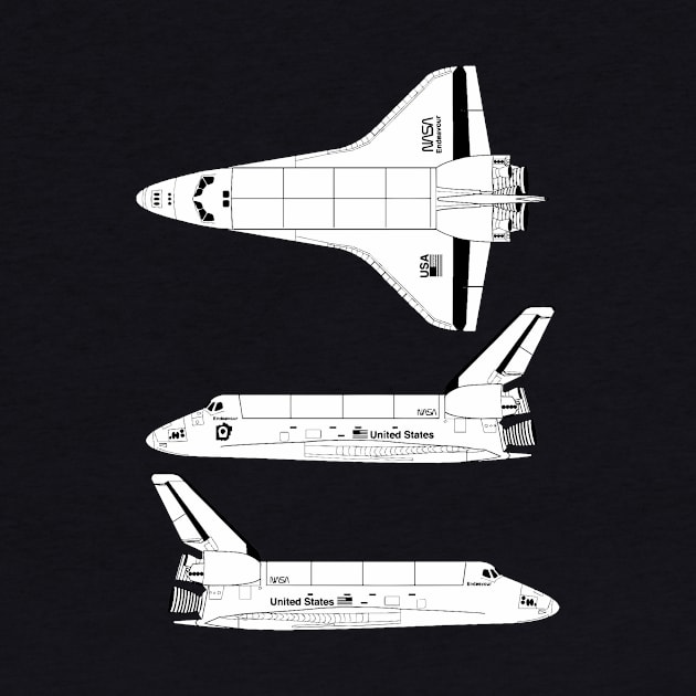 Space Shuttle by euglenii